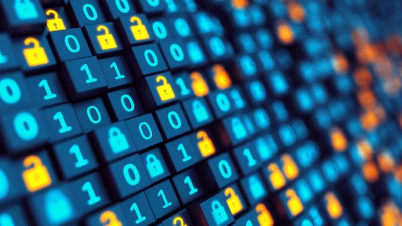 孝感软件开发:以硬核实力,筑工业数字基石